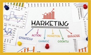 marketing_basics_-_linkedin_pic