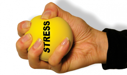 Stress Management 2025/26