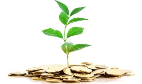 COB7: Basic and Collective Investments COB7: Basic and Collective Investments