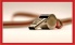 life_coaching_essentials_linkedin
