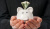 Functioning as a Trustee: Retirement Fund Environment 2025/26