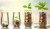 wealth_planning_1463595382